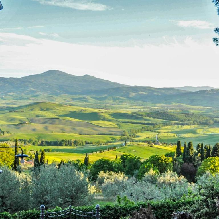 Agriturismo MONSOLE - Montalcino - Appartamento - Piano Terra - 30
