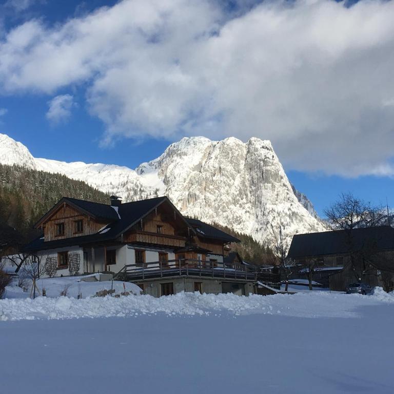 Apartments Fuchs - Apartment mit Seeblick - 37