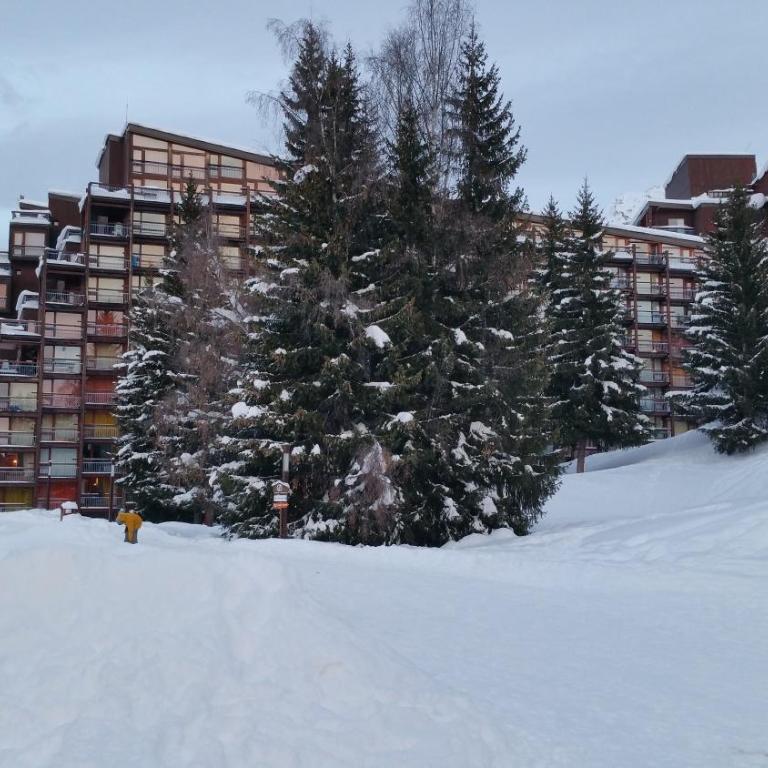 Studio Arc 1800 Skis aux Pieds - Studio - 13