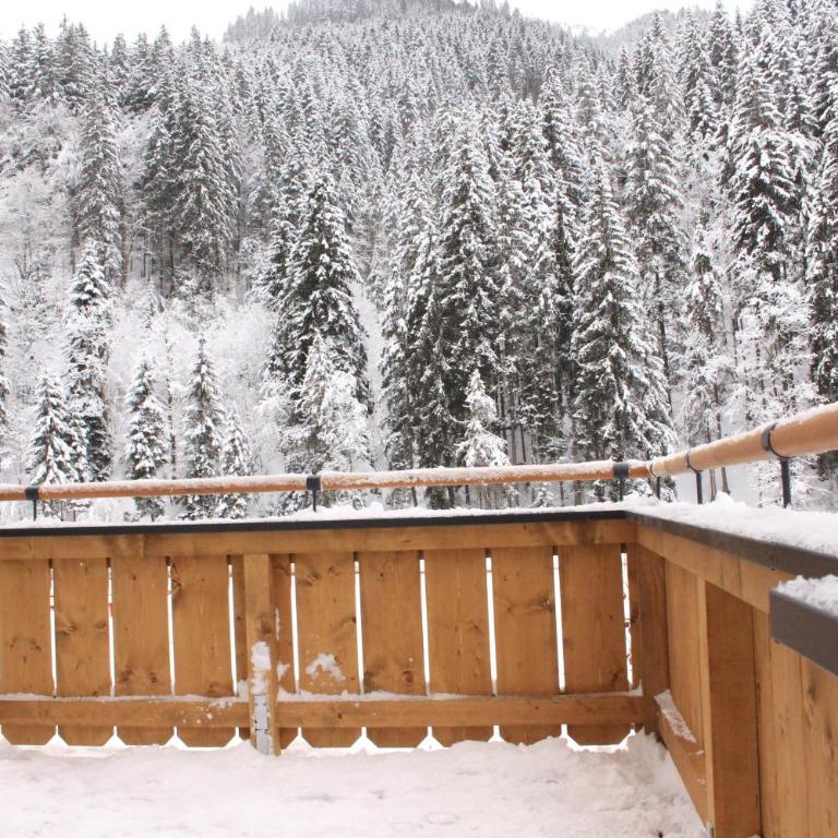 Ferienhaus Neureiter - Appartamento con Terrazza - 22