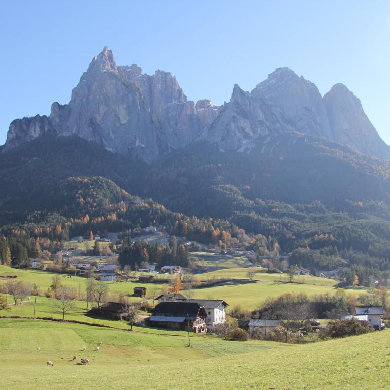 Feldererhof - Appartement 1 Chambre - Vue sur Montagne - 1