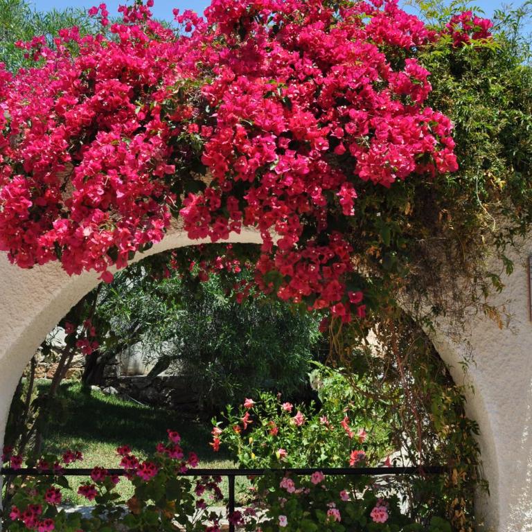 Casa Hortensia - Vacation Home - 14