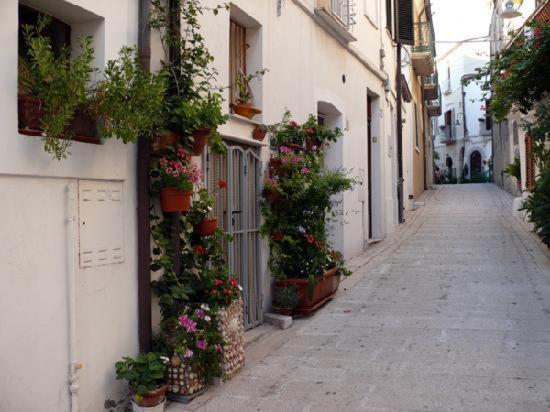 Residenza Borgo Antico - Vacation Home - 60