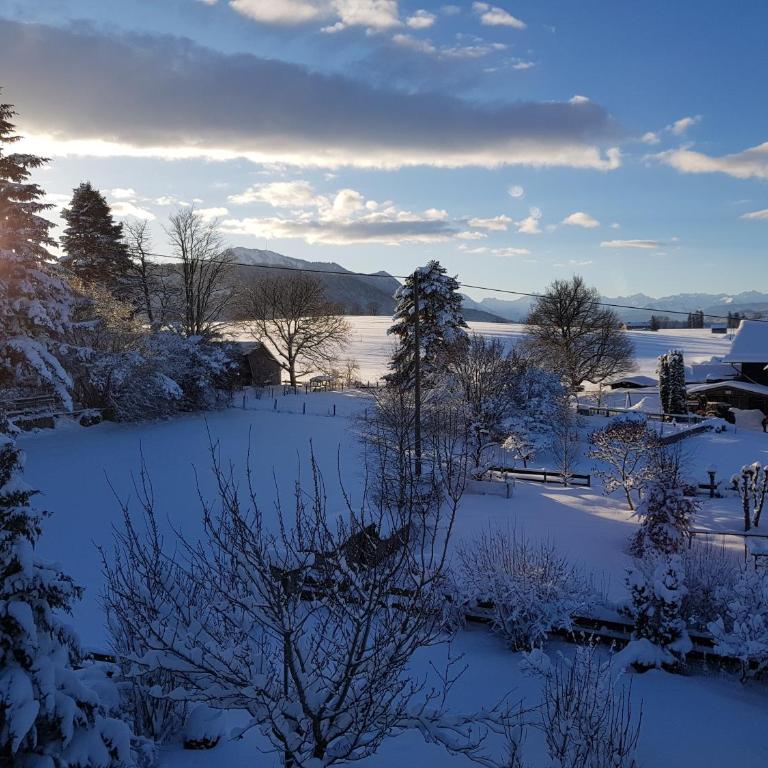 Ferienwohnung Sandra Wetzel - Apartment mit Blick auf die Berge - 2