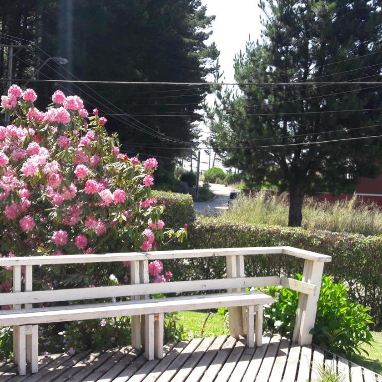 Pingueral - Four-Bedroom House - 48