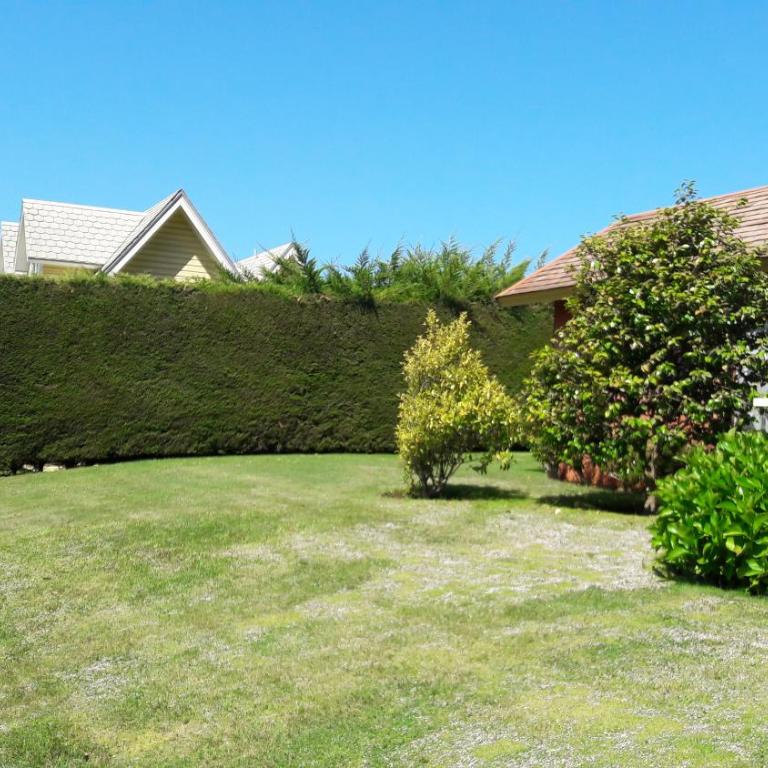 Pingueral - Four-Bedroom House - 49