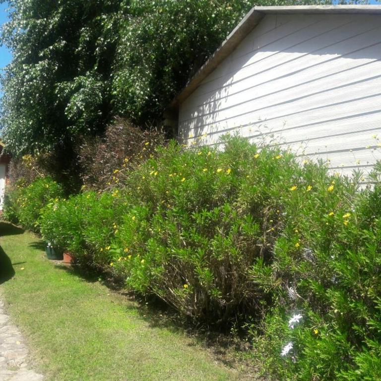 Pingueral - Four-Bedroom House - 40