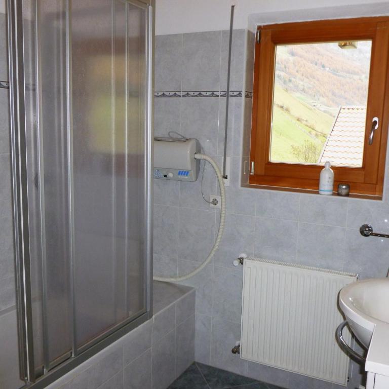 Ferienwohnungen Auhaus - One-Bedroom Apartment (2 Adults) - 4