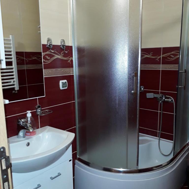 Apartments Panovic - Studio with Patio and Mountain View- Ground Floor - 9
