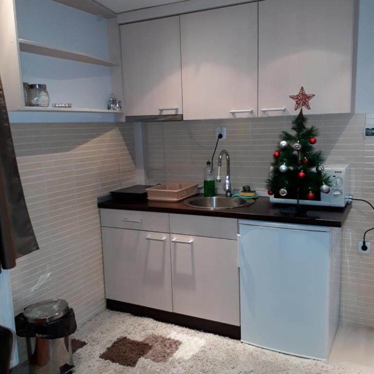 Apartments Panovic - One-Bedroom Apartment with Balcony and Mountain View - 3