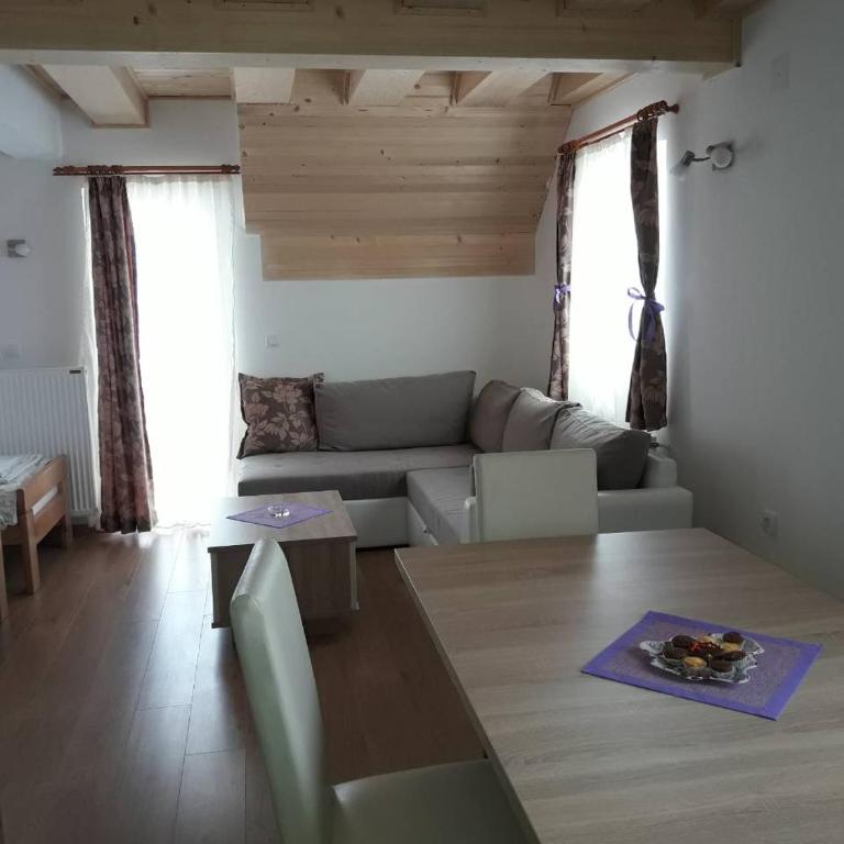 Apartments Panovic - Large Studio - 10