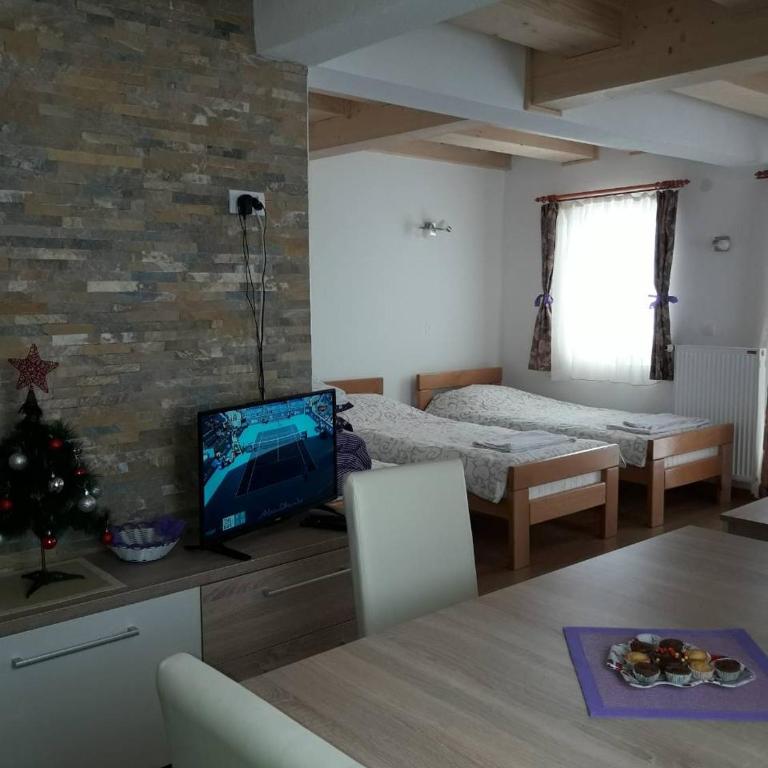 Apartments Panovic - Large Studio - 7