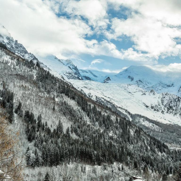 Apartment Grepon 6 Incredible Mont Blanc View Chamonix - Apartment mit 1 Schlafzimmer und Alkoven - 16