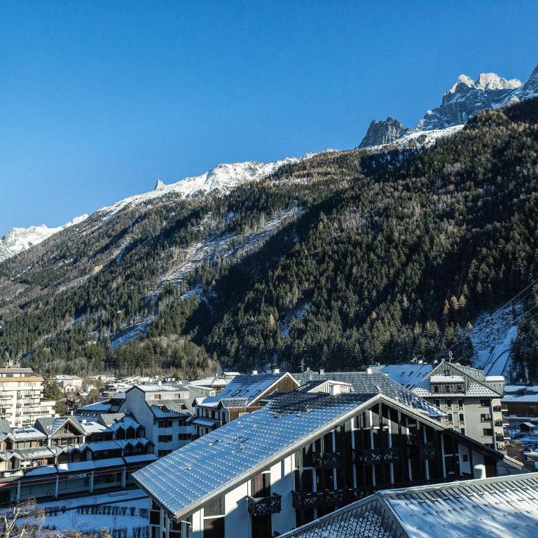 Apartment Grepon 6 Incredible Mont Blanc View Chamonix - Apartment mit 1 Schlafzimmer und Alkoven - 18