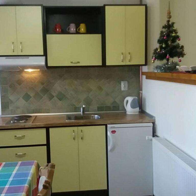 Apartments Vila Zubović - One-Bedroom Apartment - 9