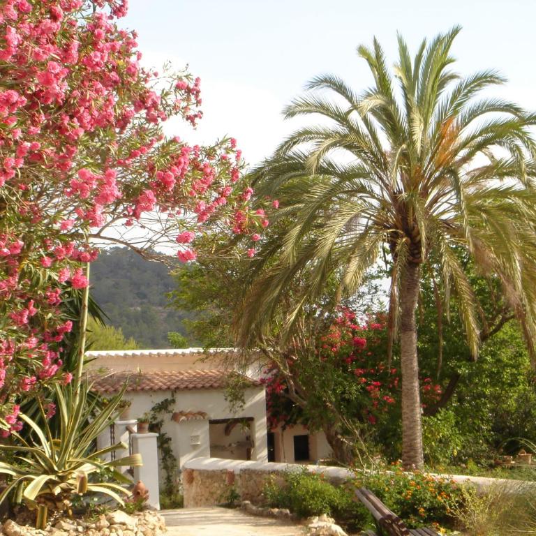 encantadora casa ibicenca - Villa - 1