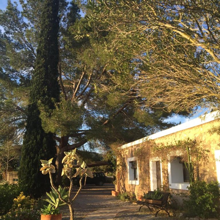 encantadora casa ibicenca - Villa - 8