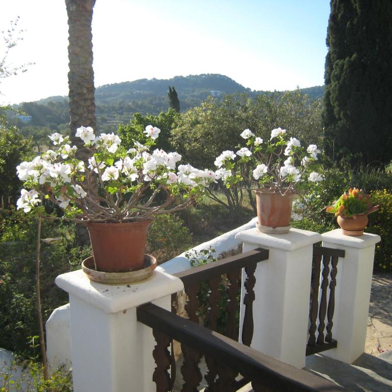 encantadora casa ibicenca - Villa - 35