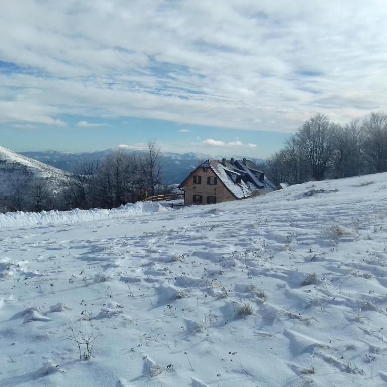 Vikendica Vila Despotovic - Villa - 66