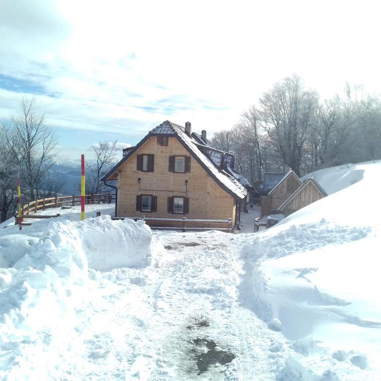 Vikendica Vila Despotovic - Villa - 64
