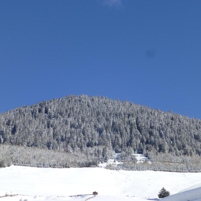Haus Zegg - Apartment mit Blick auf die Berge - 10