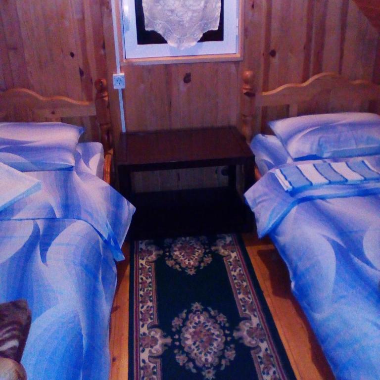 Guesthouse Mijatovic - Dvokrevetna Soba sa Bračnim Krevetom - 10