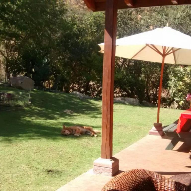 Parcela privada con piscina en Olmué - Casa de 4 dormitorios - 66
