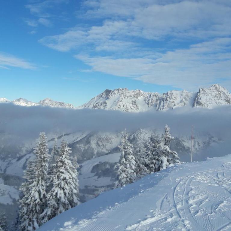 Apartment Millauer - Apartment mit Blick auf die Berge - 21