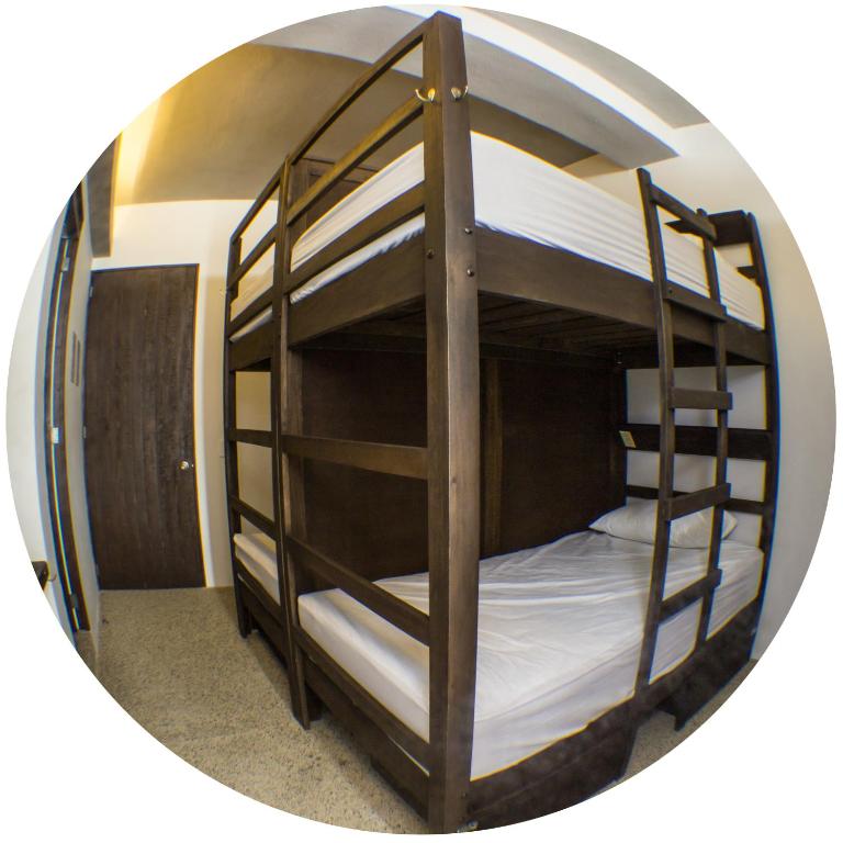 Los Muertos Hostal - Cama individual en habitación compartida de 8 camas - Frida - 2