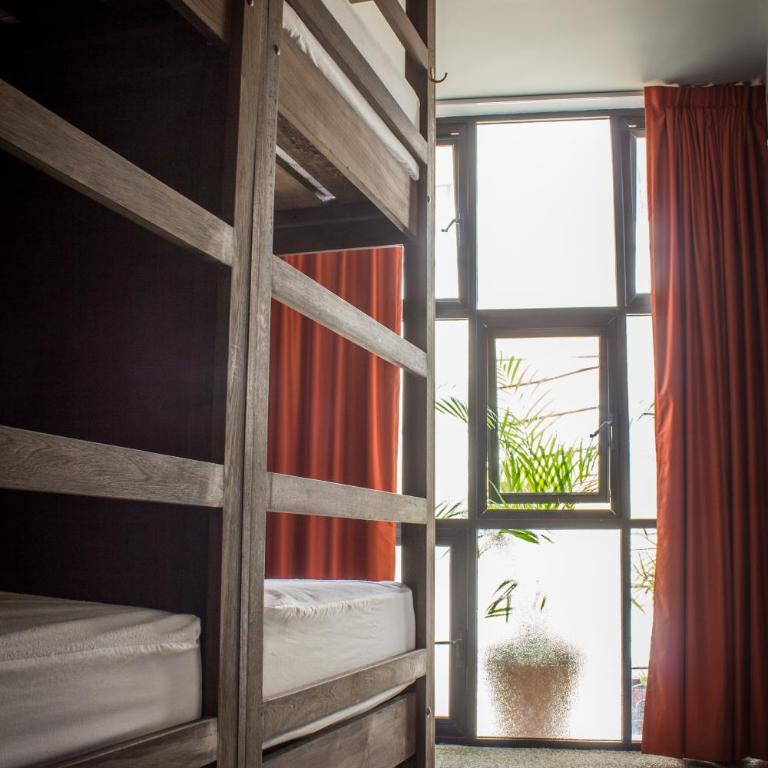 Los Muertos Hostal - Cama individual en habitación compartida de 8 camas - Frida - 3