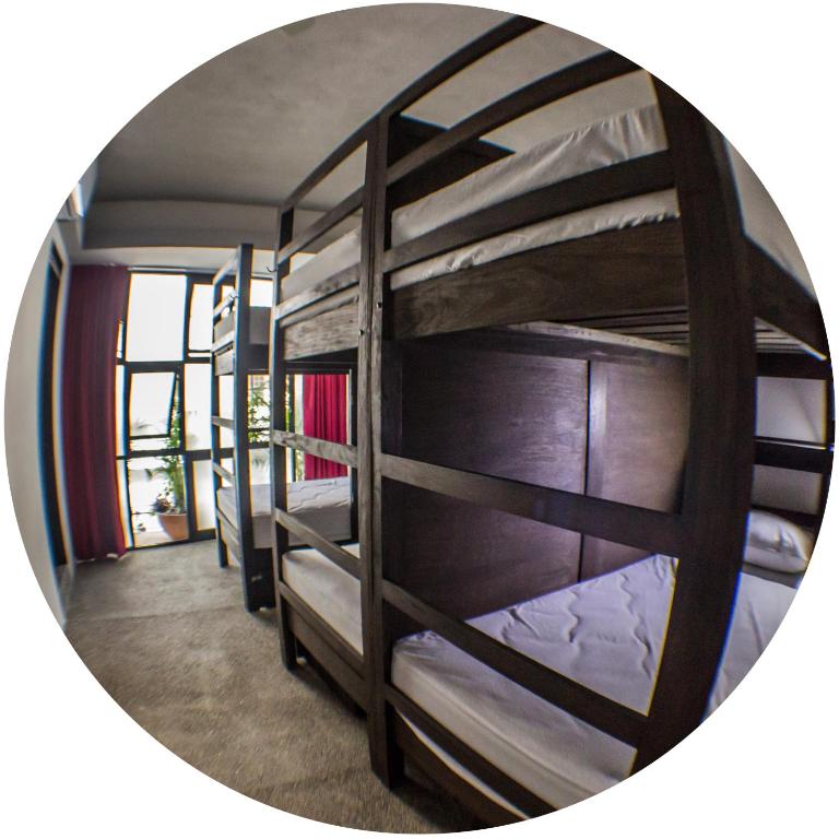 Los Muertos Hostal - Cama Individual en Habitación Compartida de 6 camas - Zapata - 4