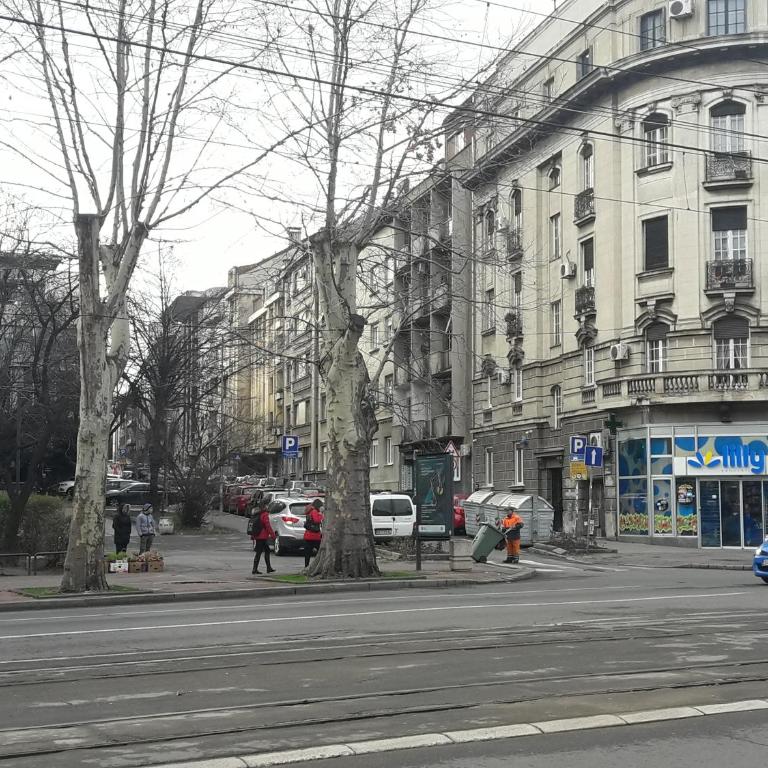 Momo Apartment - Apartman - 50