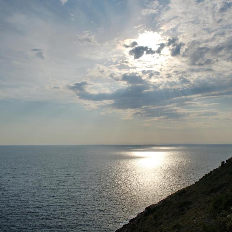 Vila Montenegro - One-Bedroom Apartment - 77