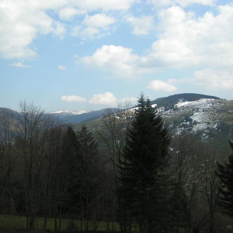 Chalet Les Bouleaux, la montagne des lamas - Chalet con 3 Camere da Letto - 10