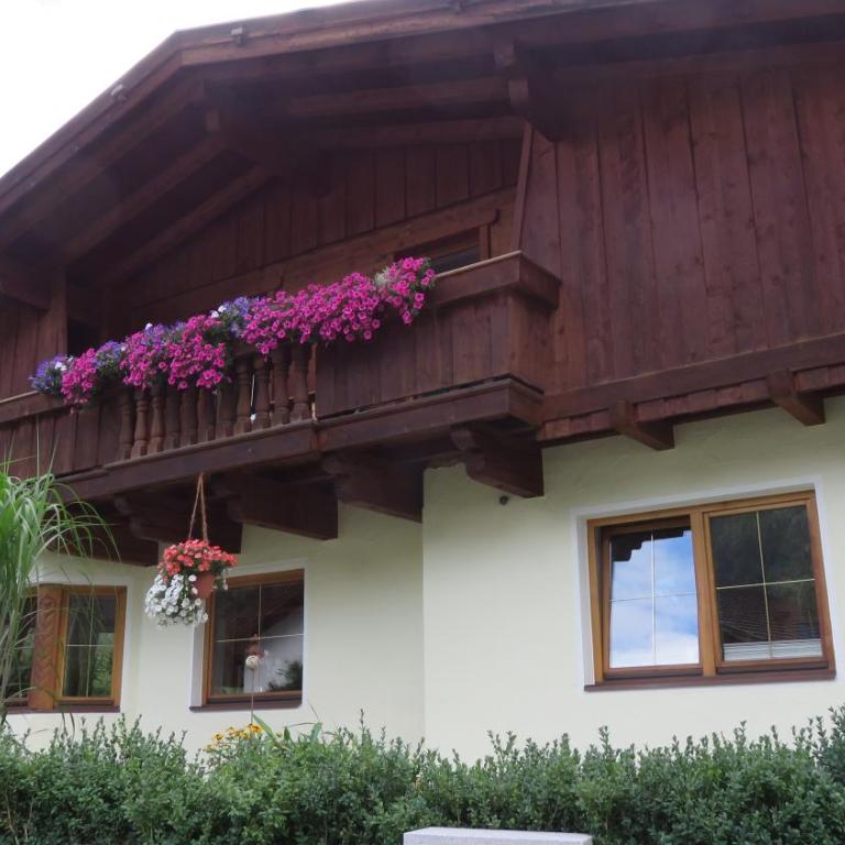 Appartement Elena - Apartment mit 2 Schlafzimmern - 1