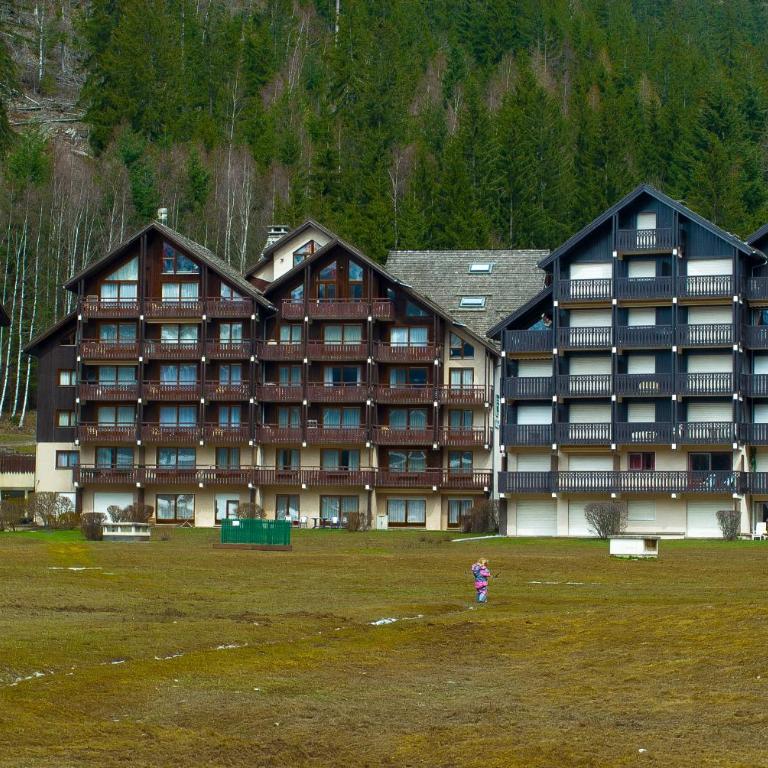 Front Ski Slope Chamonix Apartment - Apartment with Mountain View - 61