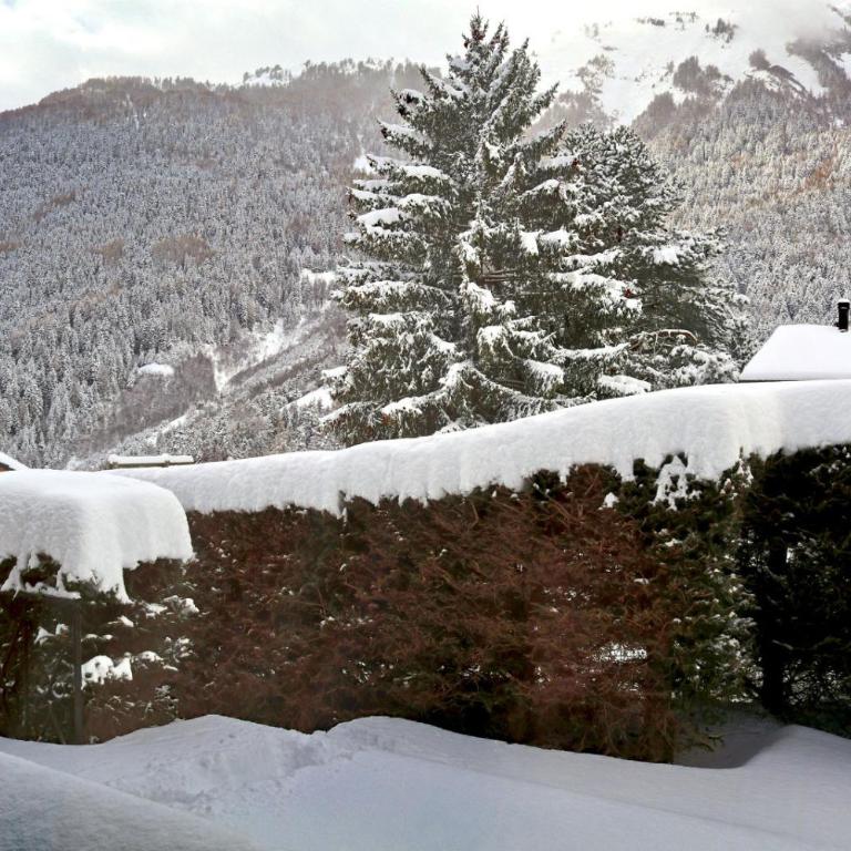 Au centre d'Ovronnaz - Chalet mitoyen - Chalet Supérieur - 43