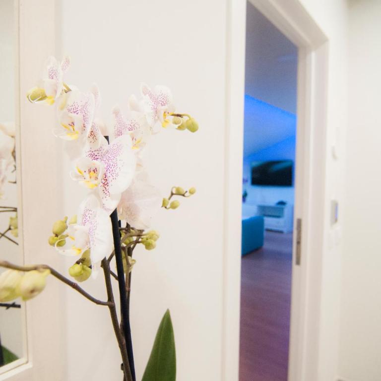 Los Rodeos Luxury Vivienda Vacacional - Apartamento - 52
