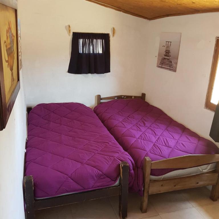 Carpe Diem - Vacation Home - 15