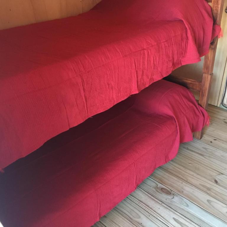 Luna & Zoé - Mixed Dormitory Room - 3