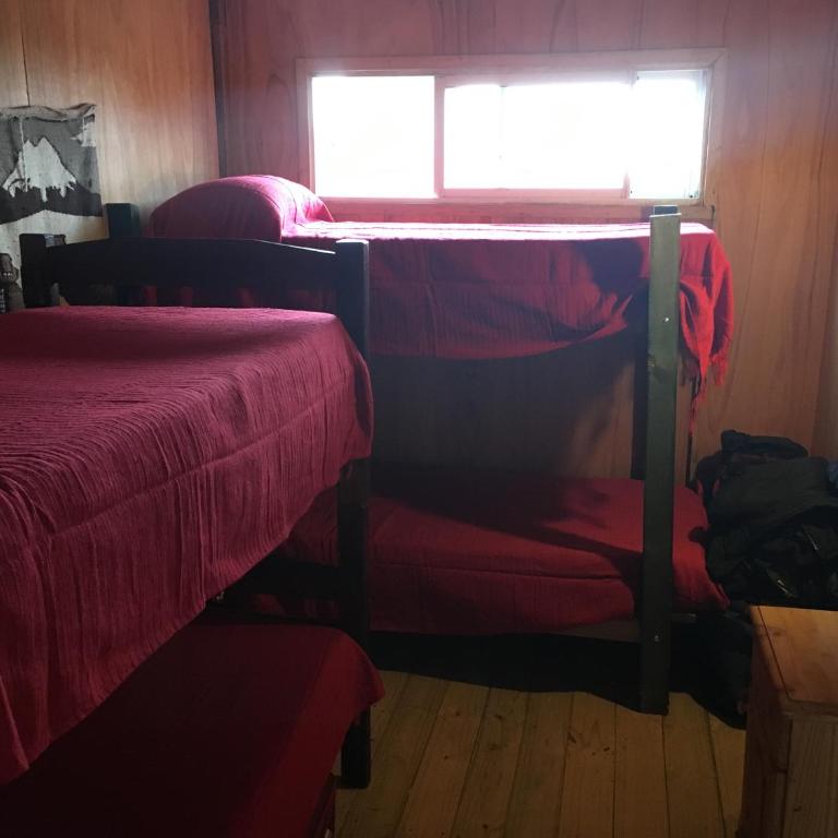 Luna & Zoé - Mixed Dormitory Room - 2