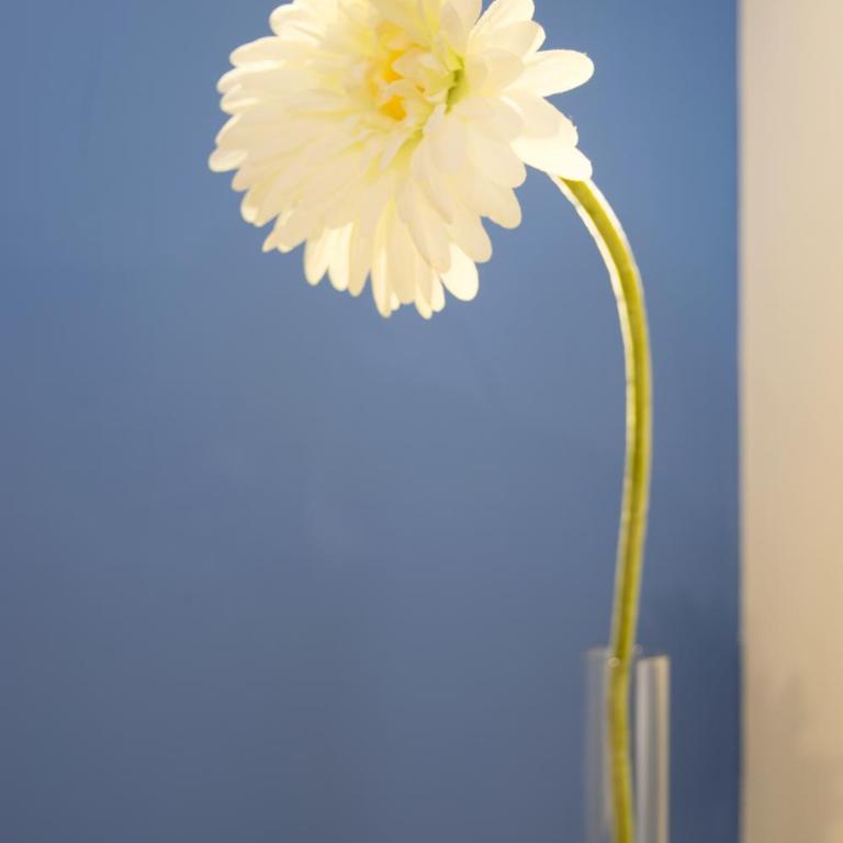 Lovely Corner: Perfect to visit Treviso/Venezia - Studio Apartment - 15