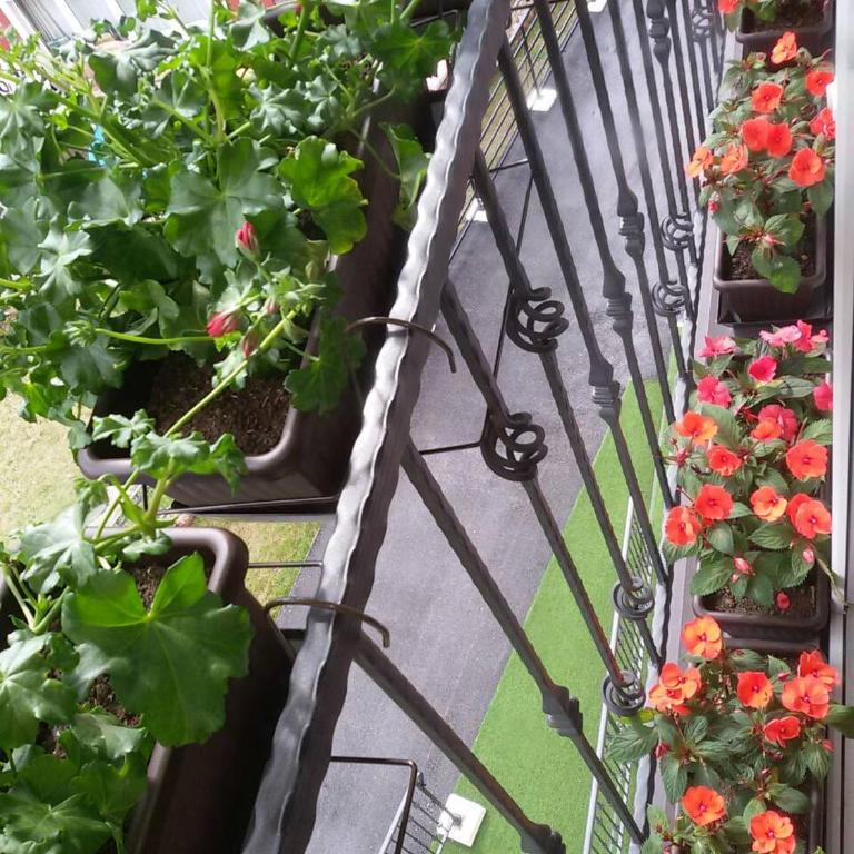 Apartman Arija Zlatibor - Apartman sa Pogledom na Planinu - 18