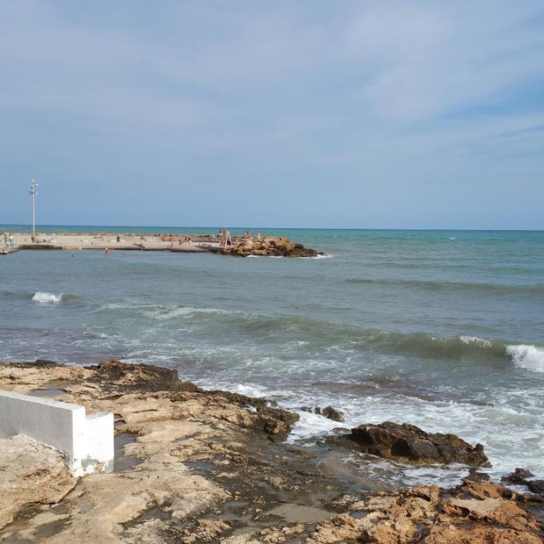 Homely appartment playa Acequion - Apartamento con terraza - 100