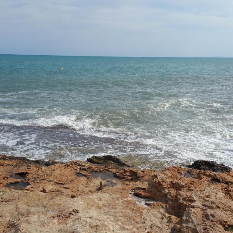 Homely appartment playa Acequion - Apartamento con terraza - 98