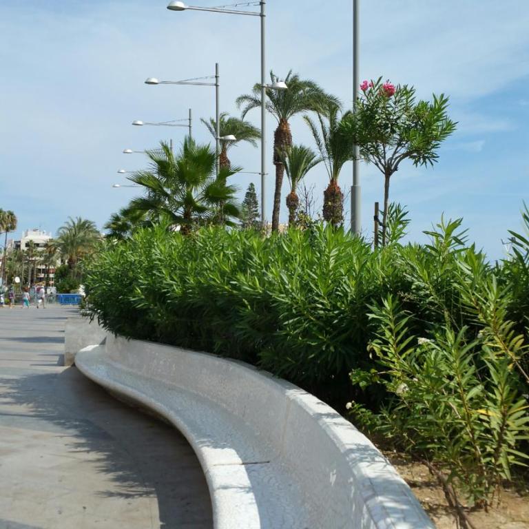 Homely appartment playa Acequion - Apartamento con terraza - 90