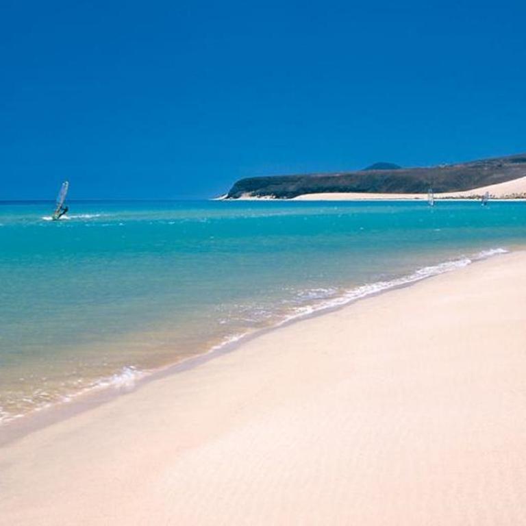 Cardon Big Calm 15 - Apartamento con vistas al mar - 17