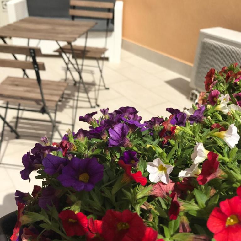 La Meridiana - Double or Twin Room with Shared Terrace - 2