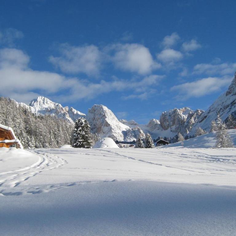Apartments Dolomie - Appartamento con 3 Camere da Letto - 50