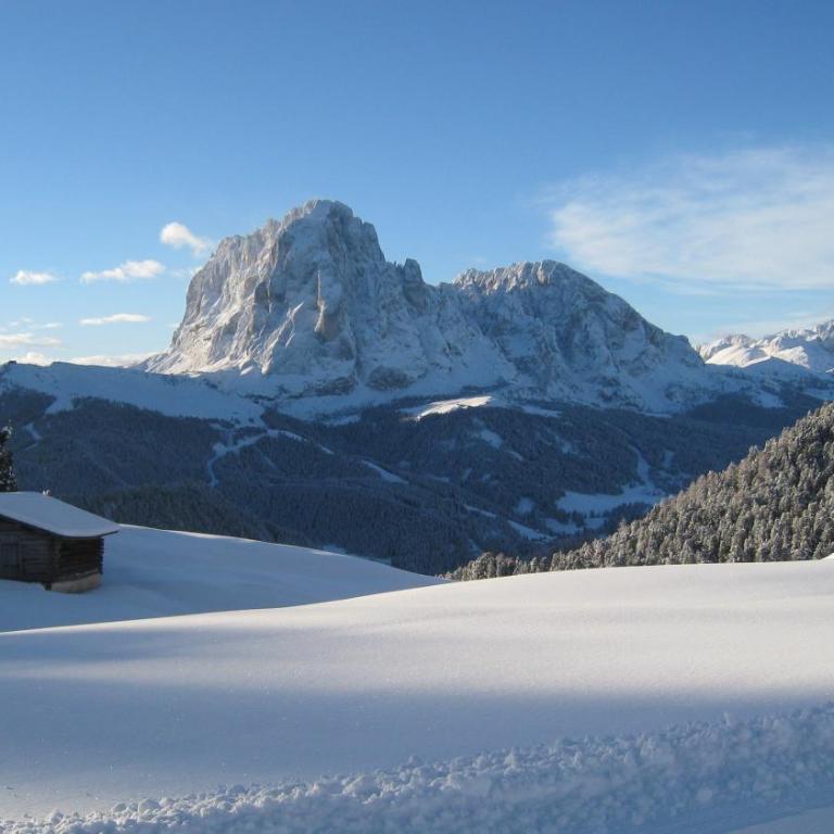 Apartments Dolomie - Appartamento con 3 Camere da Letto - 16